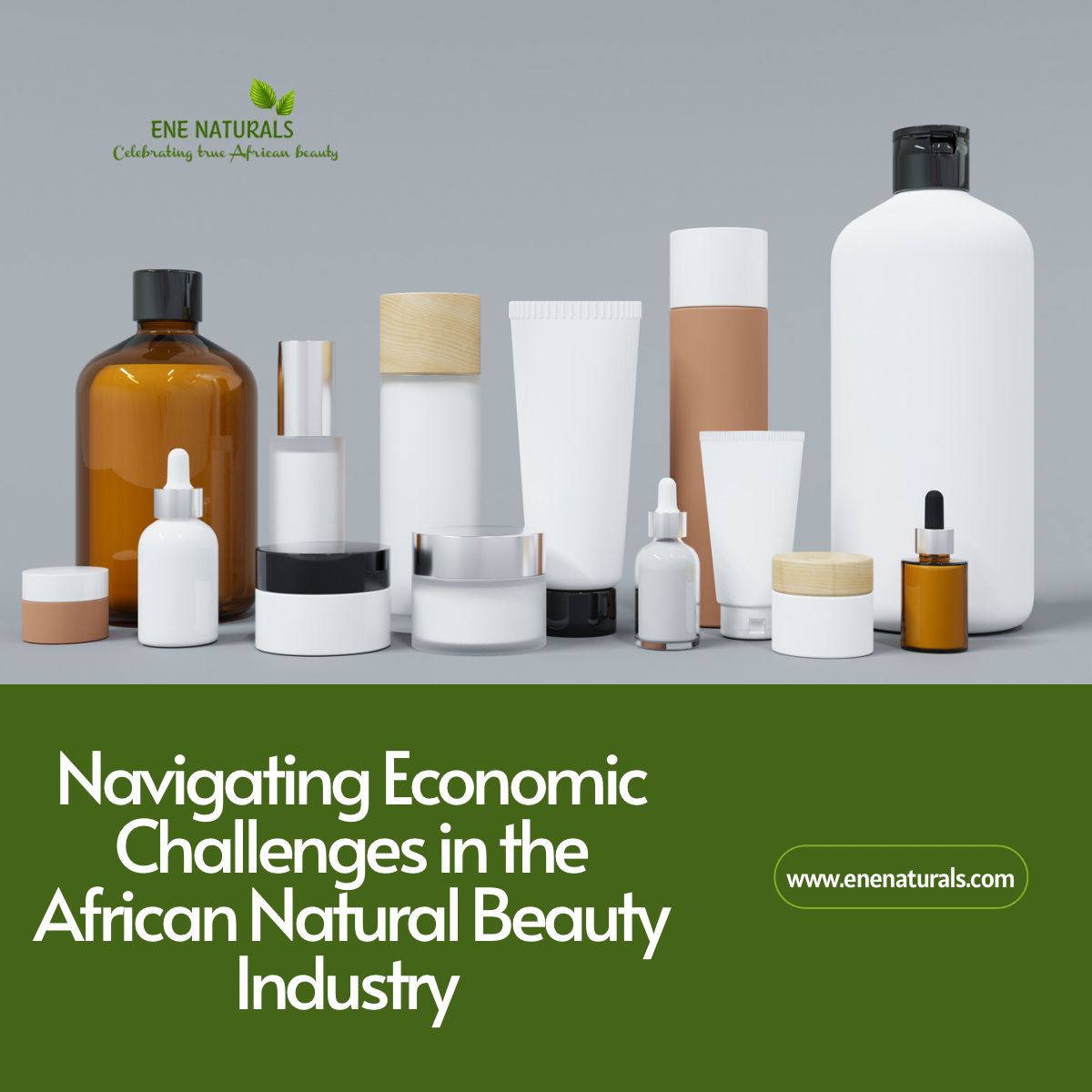 Navigating Economic Challenges in the Nigerian Natural Beauty Industry